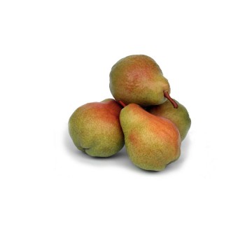 PERE WILLIAM  BIANCHE  PD