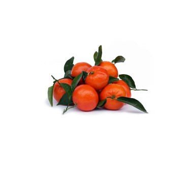 CLEMENTINE  FOGLIA CAL.1/2