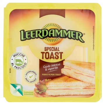 LEERDAMMER SPECIAL TOAST GR.125