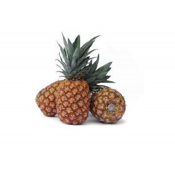 ANANAS  DEL MONTE