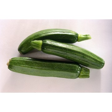 ZUCCHINE  I° FONDI