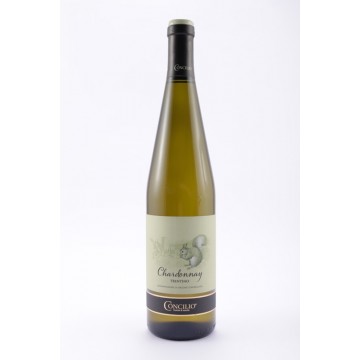 VINO CONCILIO CHARDONNAY TN DOC
