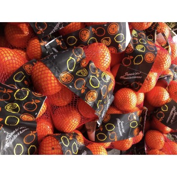 ARANCE  RETE I°  KG 1,5  AL PEZZO