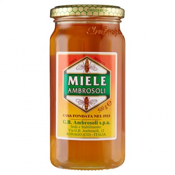 MIELE VASO AMBROSOLI GR.500