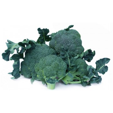 BROCCOLI VERDI
