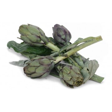 CARCIOFI  THEMA  AL PZ.