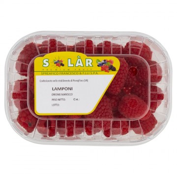 LAMPONI CONF. GR.125