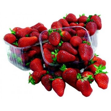 FRAGOLE  VASCH. GR.250