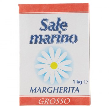 SALE GROSSO GR.1000