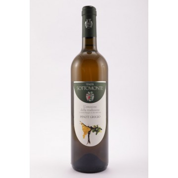 VINO T. SOTTOMONTE PINOT GRIGIO DOC ML.750
