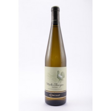 VINO CONCILIO MULLER THURGAU TN DOC ML.750