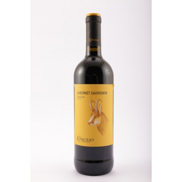 VINO CONCILIO CABERNET SAUVIGNON TN DOC