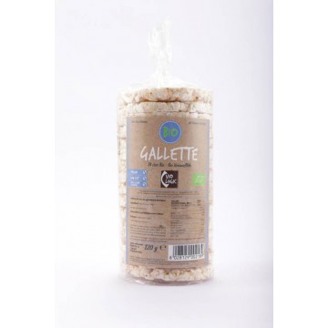 VIOLOGIC BIO GALLETTE DI RISO S/SALE GR.120