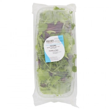 INSAL'ARTE VASCHETTONE MISTICANZA GR.400