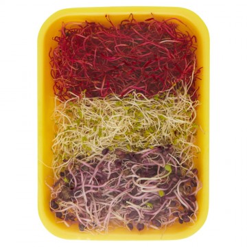 GERMOGLI SOIA BONDUELLE TRIS GR.90X3