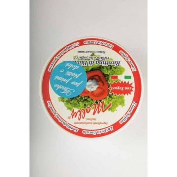 RICOTTINA DI BIANCADE ALLO YOGURT GR.230