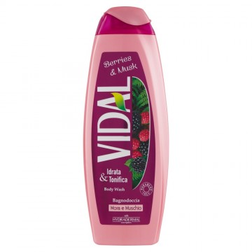 BAGNOSCH. VIDAL MORA&MUSCHIO ML500