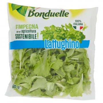 BONDUELLE LATTUGHINO G.60