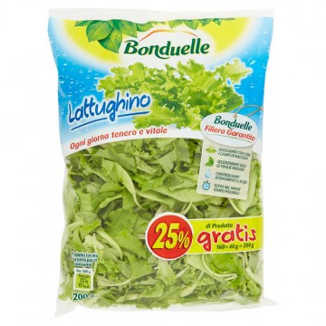 BONDUELLE LATTUGHINO G.160+40