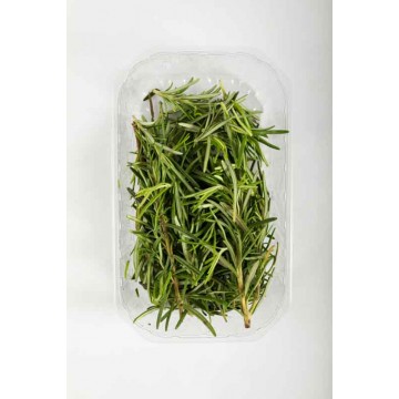 INSAL'ARTE ROSMARINO VS. GR.30