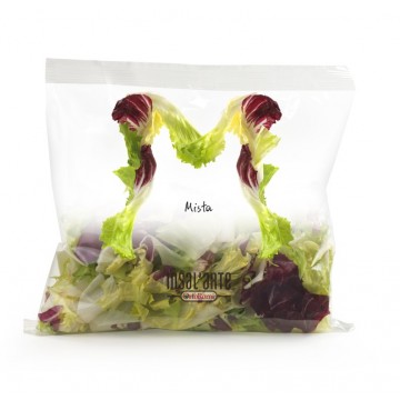 INSAL'ARTE INSALATA MISTA  BS. GR.175