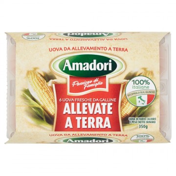 AMADORI 6 UOVA FRESCHE ALL. TERRA