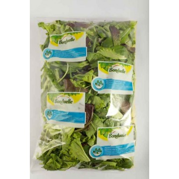 BONDUELLE FOOD S. MISTICANZA GR.300