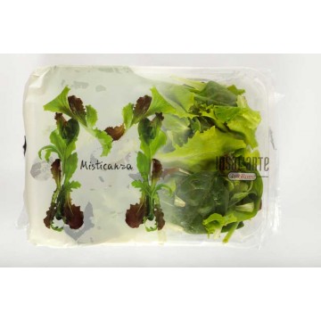 INSAL'ARTE MISTICANZA VS. GR.115