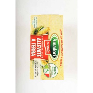AMADORI 2 UOVA FRESCHE ALLEV. TERRA