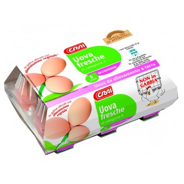 UOVA CRAI EXTRA LARGE A TERRA X6