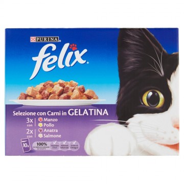 FELIX BUSTE X10 ASS.