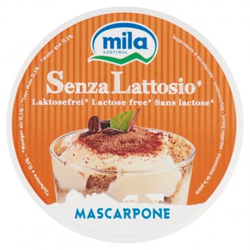 MASCARPONE MILA S/LATTOSIO GR.250