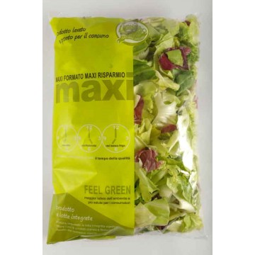 MAXI INSALATA MISTA DELL'ORTO BS. GR.400