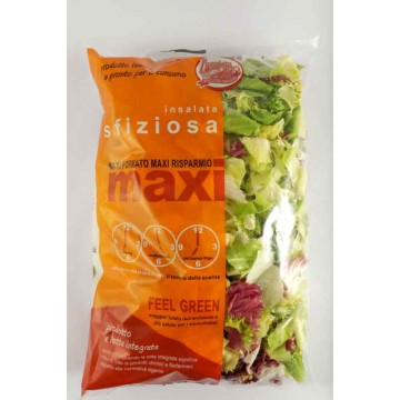 MAXI INSALATA SFIZIOSA DELL'ORTO BS. GR.400