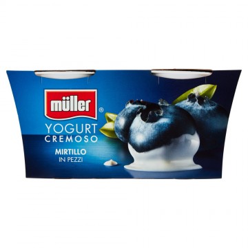 YOG. MULLER MIRTILLO GR.125X2