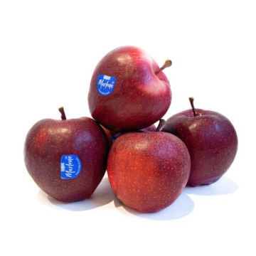 MELE STARK 'MELINDA' PD.