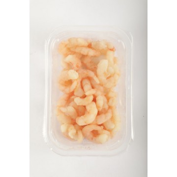 ALIVER GAMBERI FREDDI CROWN GR.90