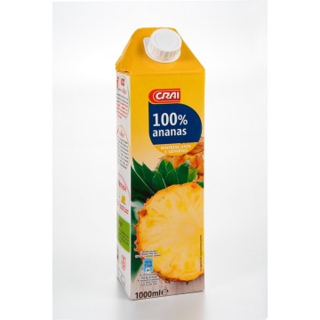 SUCCHO CRAI ANANAS BRICK LT.1